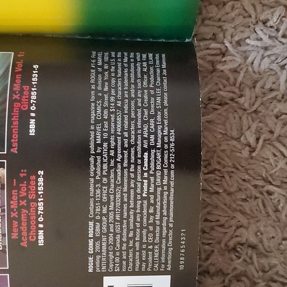 ROGUE: Going Rogue Graphic Comic Novel - Picture 3 of 5